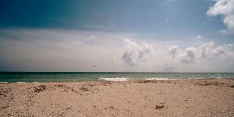 Beach management keeps coastal use organised