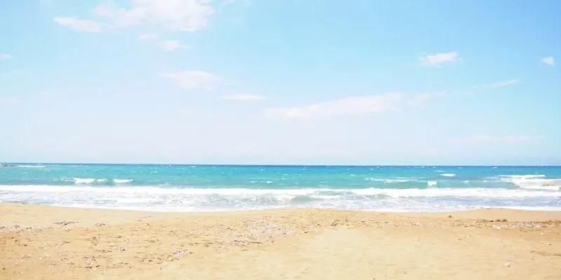 beach-management