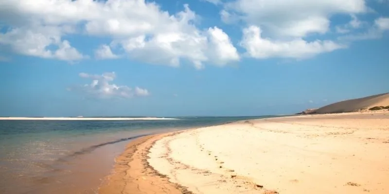 Beach restoration restores public nature