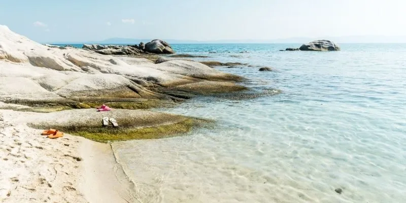 Beach restoration supports wider habitats