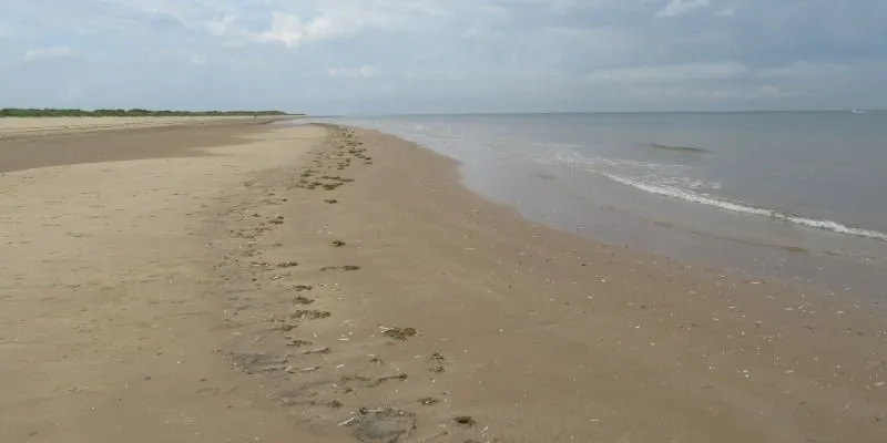 beach-restoration