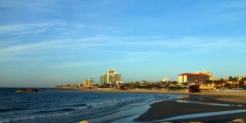 Coastal landscaping begins with local climate