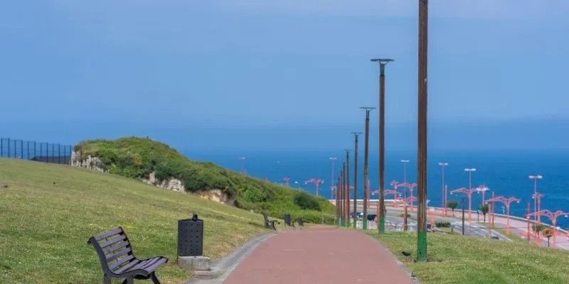 coastal-landscaping