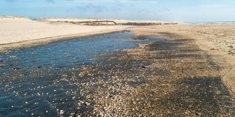 coastal-sediment