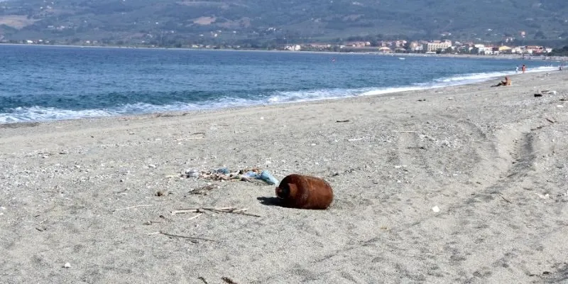 Ecology depends on balanced shore material