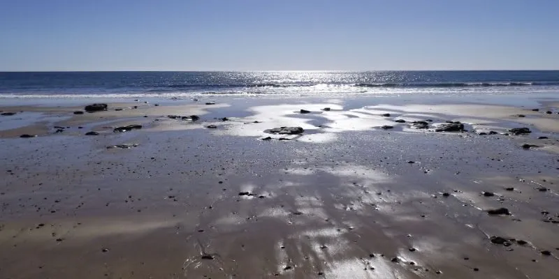 Engineering secured the renewed shoreline