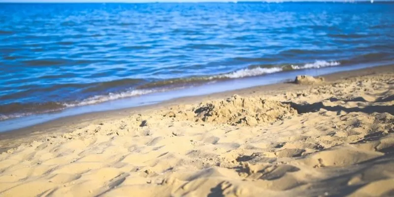 Healthy sand supports local activity