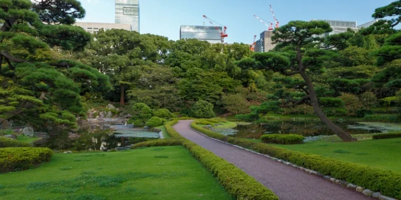 Welcoming community outdoor area