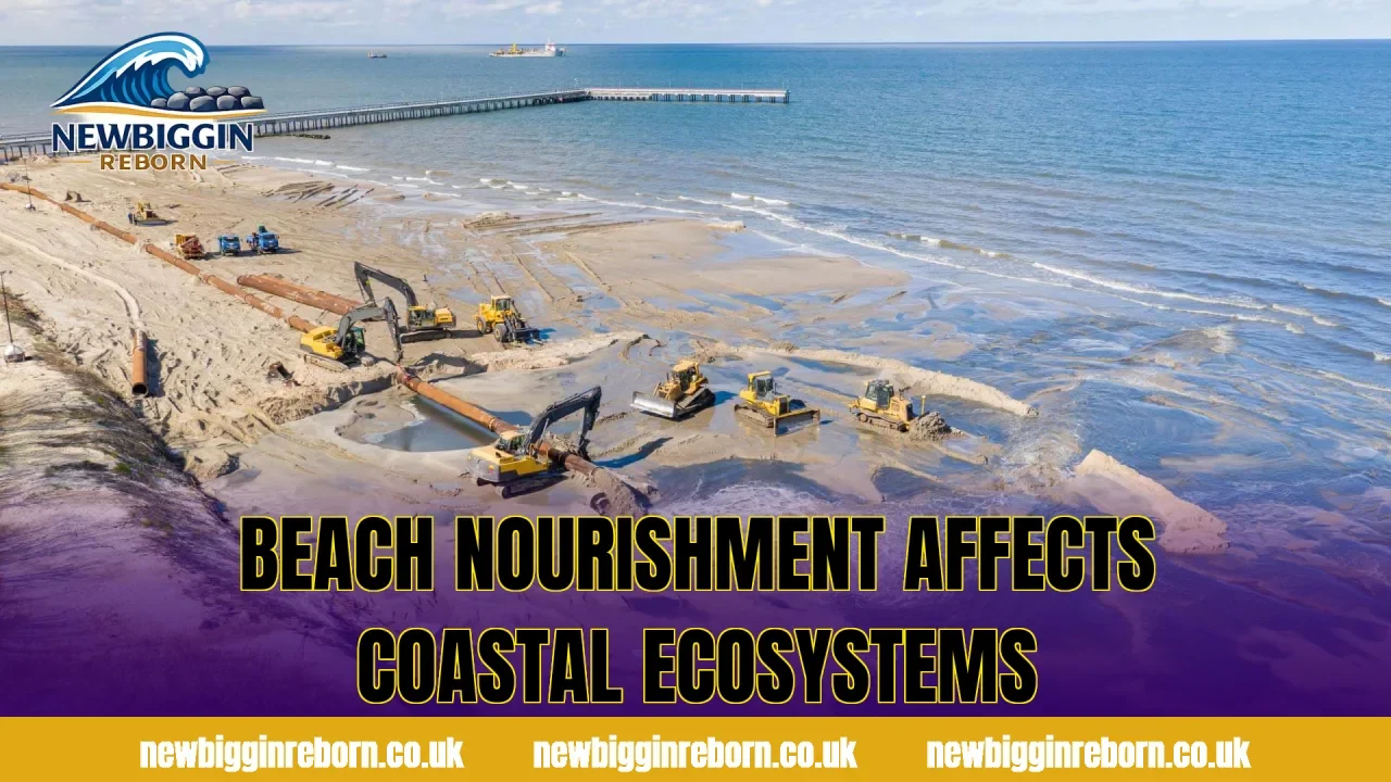 Beach nourishment affects coastal ecosystems