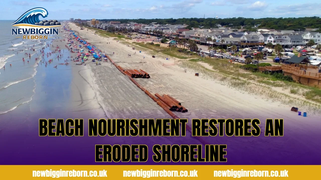 Beach nourishment restores an eroded shoreline