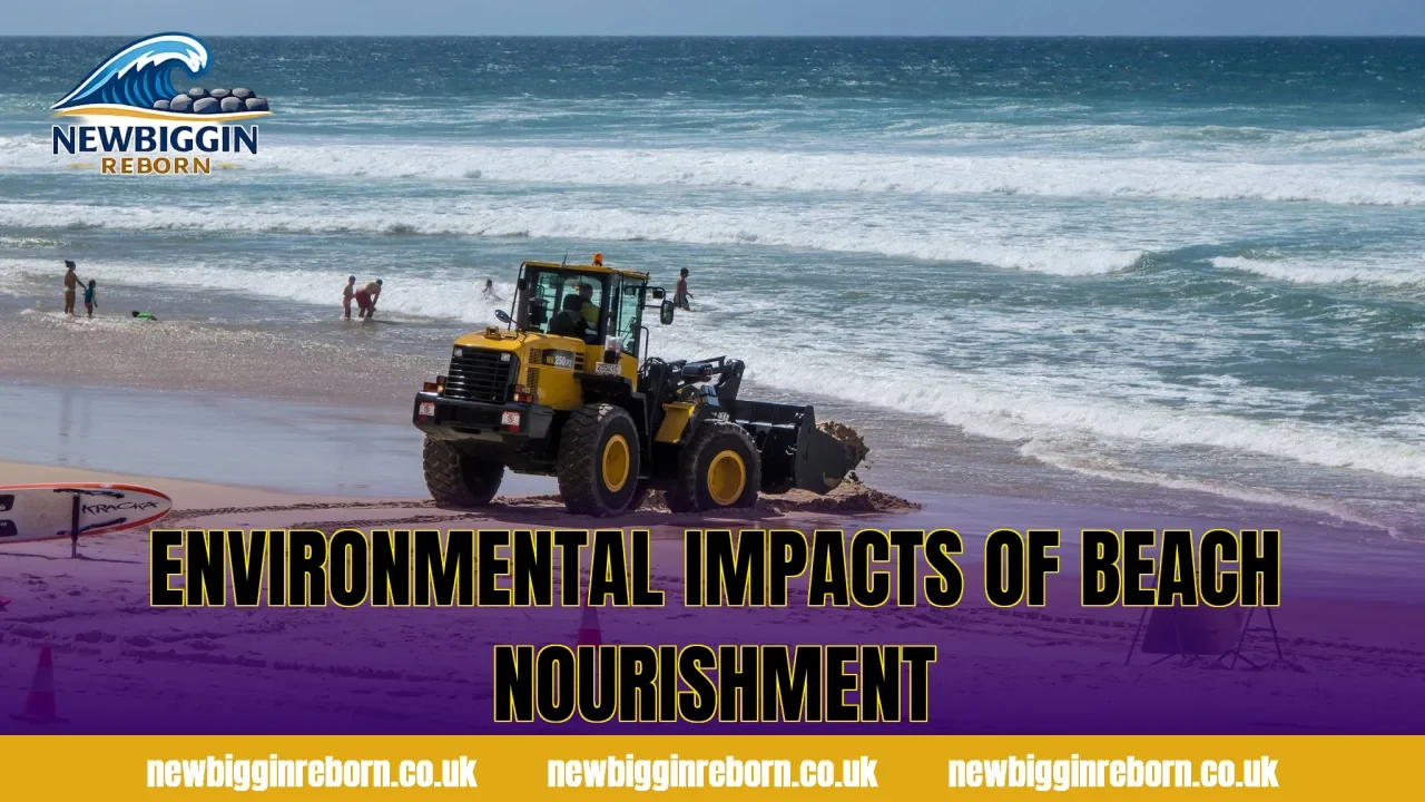 Environmental Impacts Of Beach Nourishment